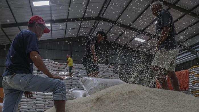 Hampir 30 Ribu Ton Beras di Gudang Bulog Turun Mutu, Paling Banyak dari Impor
