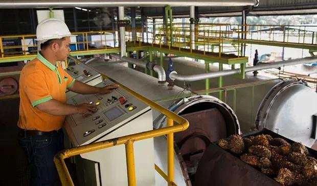 Tumbuh 72 Persen, Sumber Tani (STAA) Raup Pendapatan Rp2,97 Triliun hingga Triwulan III-2025