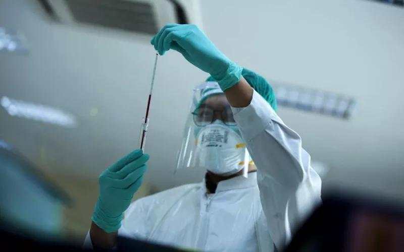 Laba Bersih Prodia (PRDA) Turun 41 Persen hingga September 2025