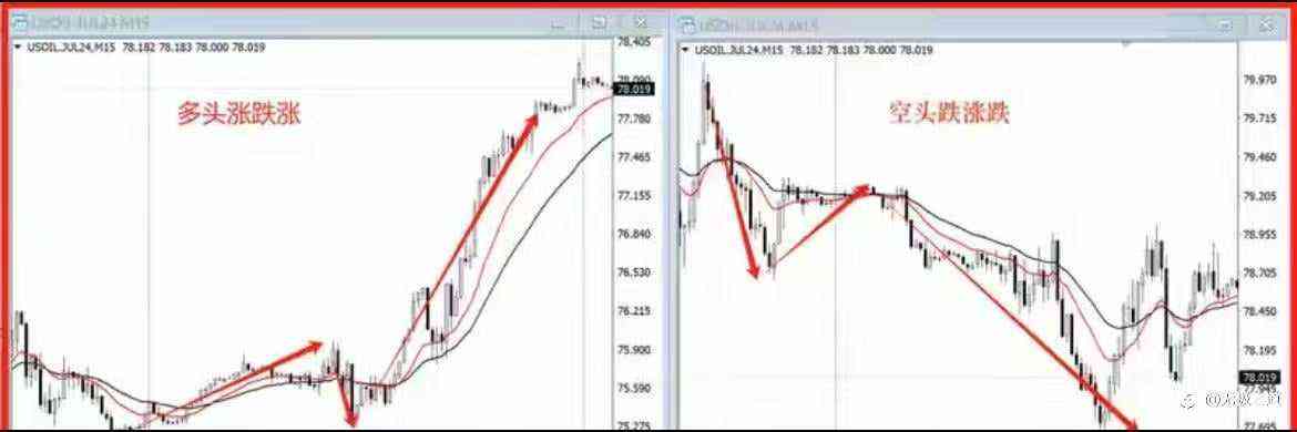 如何在交易中运用《斐波那契黄金分割线》!