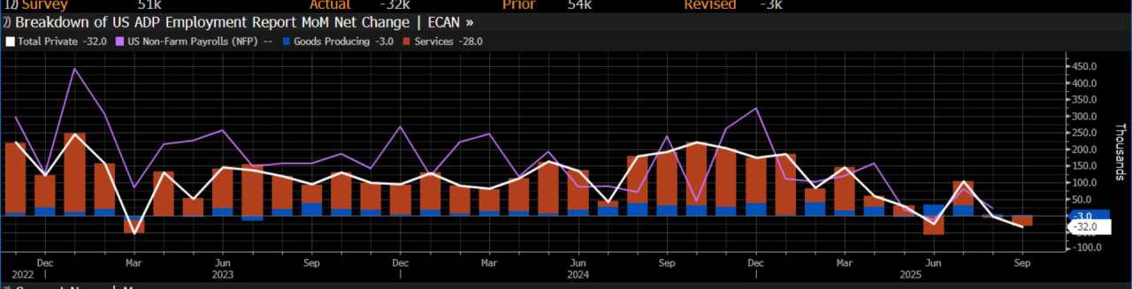 Negative US private sector payrolls puts prospect of faster pace of Fed rate cuts back on the table