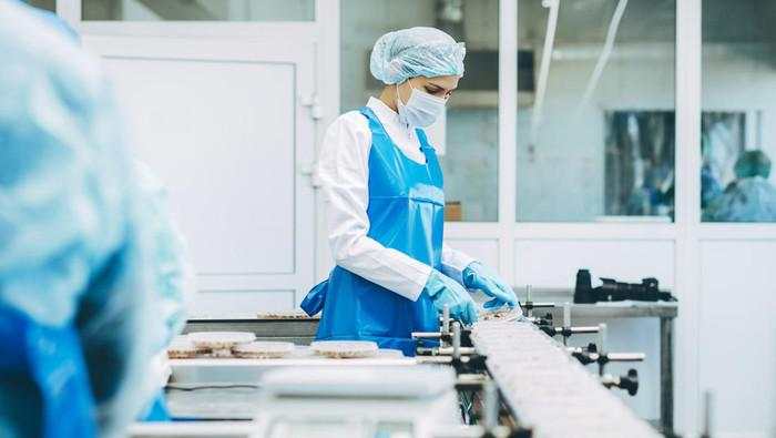 Jurus Pemerintah Cetak SDM Unggul buat Penuhi Kebutuhan Industri