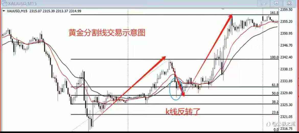 如何在交易中运用《斐波那契黄金分割线》!