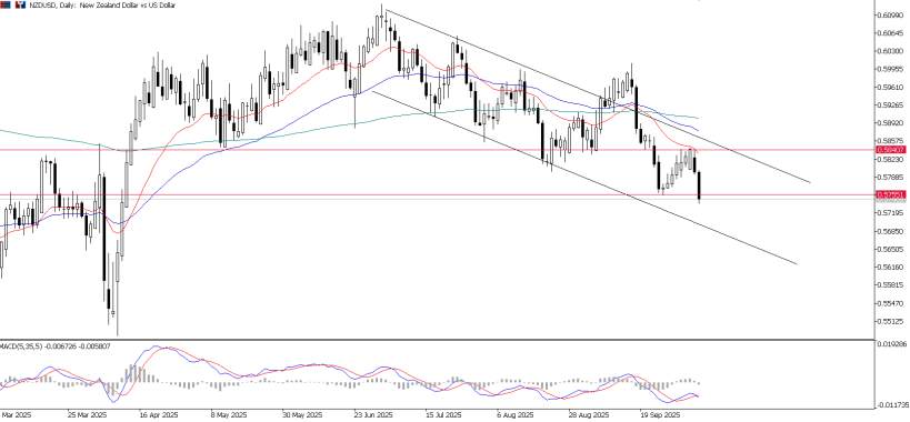 2025年10月13日市场报告
