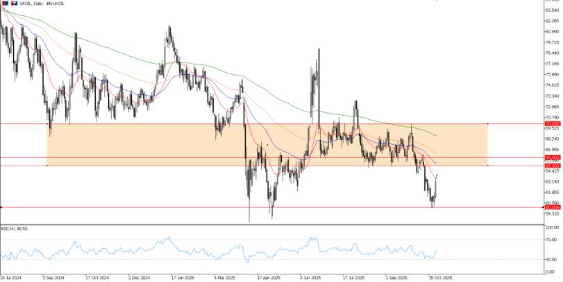 2025年10月23日市场报告