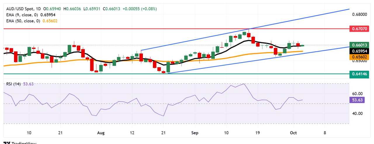 Dolar Australia Mempertahankan Kenaikan setelah Rilis Data PMI