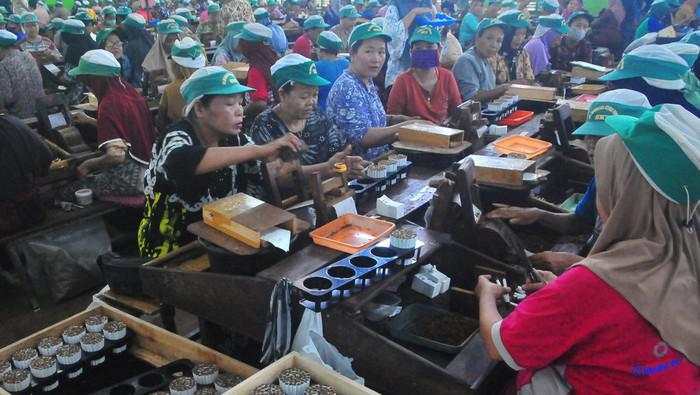 Moratorium Cukai Jadi Angin Segar bagi Industri Tembakau