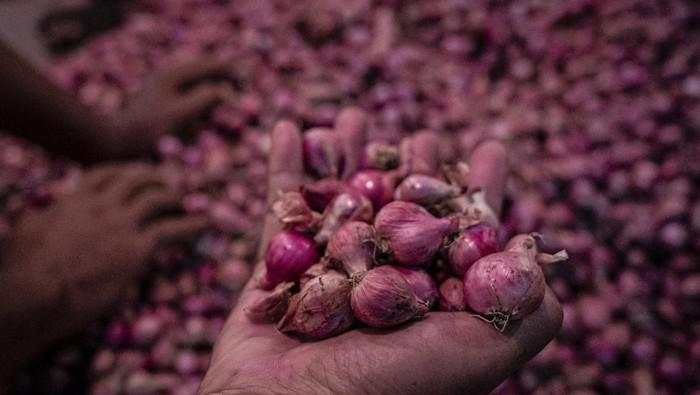 Harga Bawang Merah Turun, tapi Ayam hingga Cabai Naik