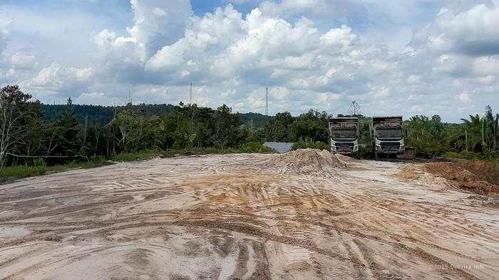 Terungkap! Ada Tambang Batu Bara Ilegal-Perambahan Hutan di Kawasan IKN