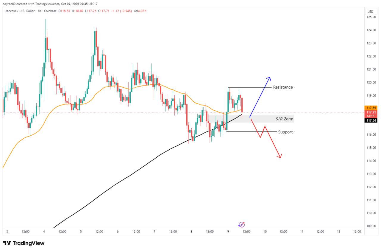 Crypto & Forex Hari Ini Panas! Litecoin Uji EMA 50, NZD/USD di Zona Supply — Arah Besar Segera Terbentuk!
