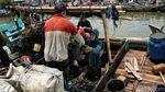Kerang Hijau Cilincing Penopang Hidup Warga Pesisir