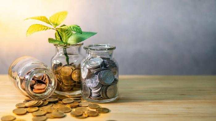 Mau Investasi Untung? Jangan Taruh Telur di Satu Keranjang