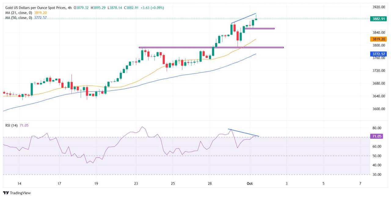 Gold hits new record high as US shutdown boosts safe-haven demand