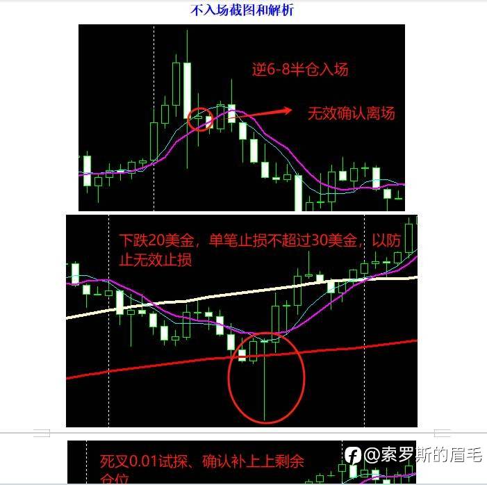 feed-image-1