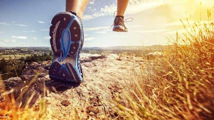 Kemenkeu Lelang Barang 'Kalcer': Sepatu Lari hingga Jam Tangan