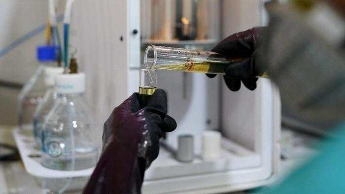 Kalah Lawan RI di WTO, UE Ajukan Banding soal Sengketa Biodiesel