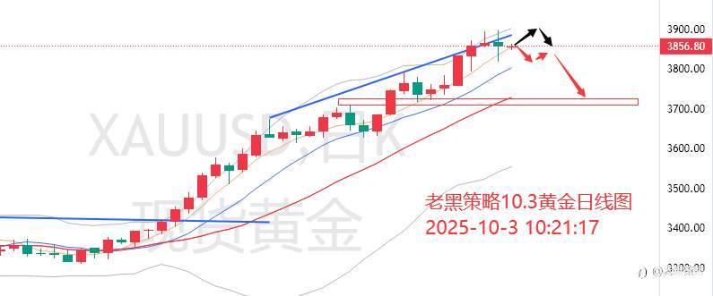 老黑策略：10.3外汇、黄金、原油分析策略