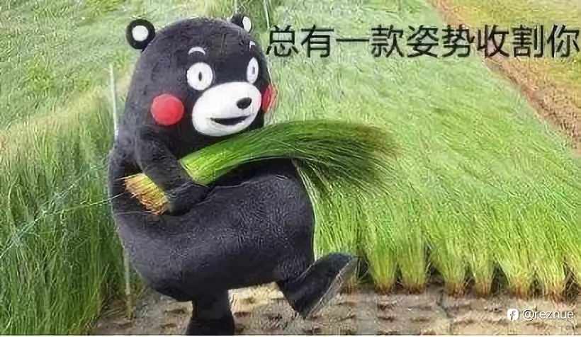 是它,就是它,它回来,它带着熟悉的味道回来,熟悉的配方,熟悉的韭菜的味道,一个字《香》