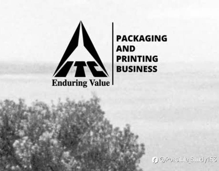 Premium Carton Packaging Solutions
