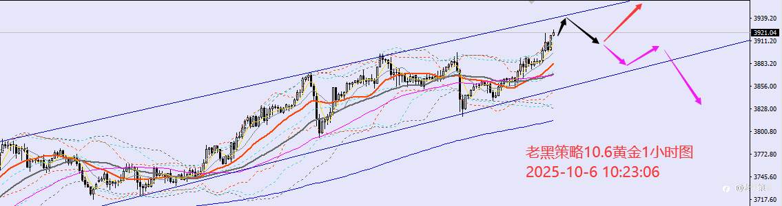 老黑策略:10.6外汇、黄金、原油分析策略