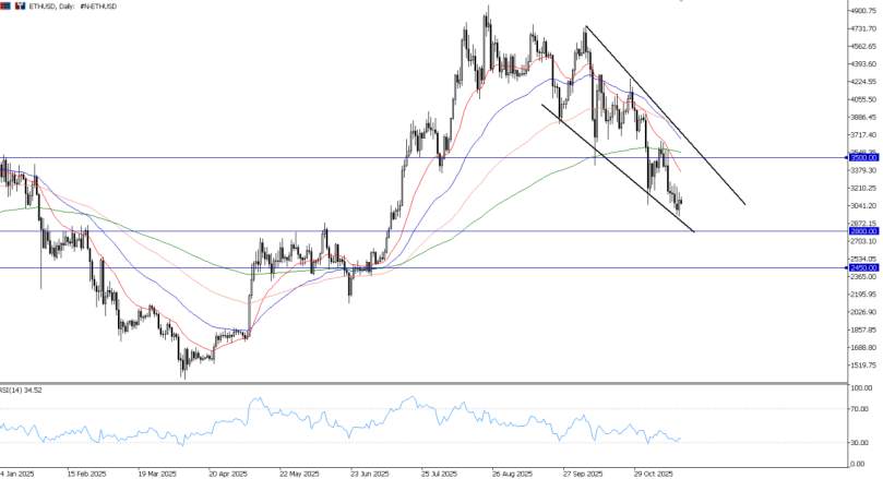 2025年11月19日市场报告