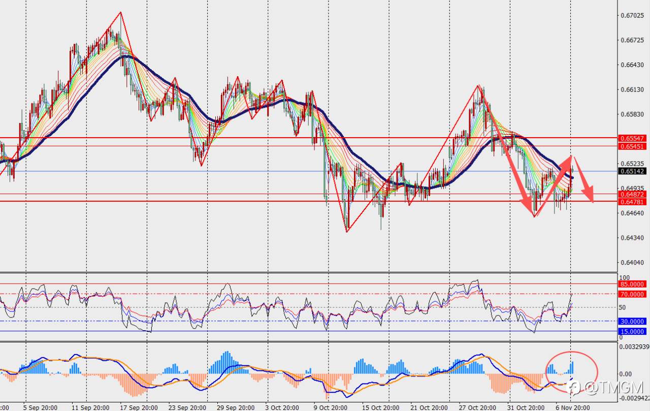 TMGM每日市场11月10日