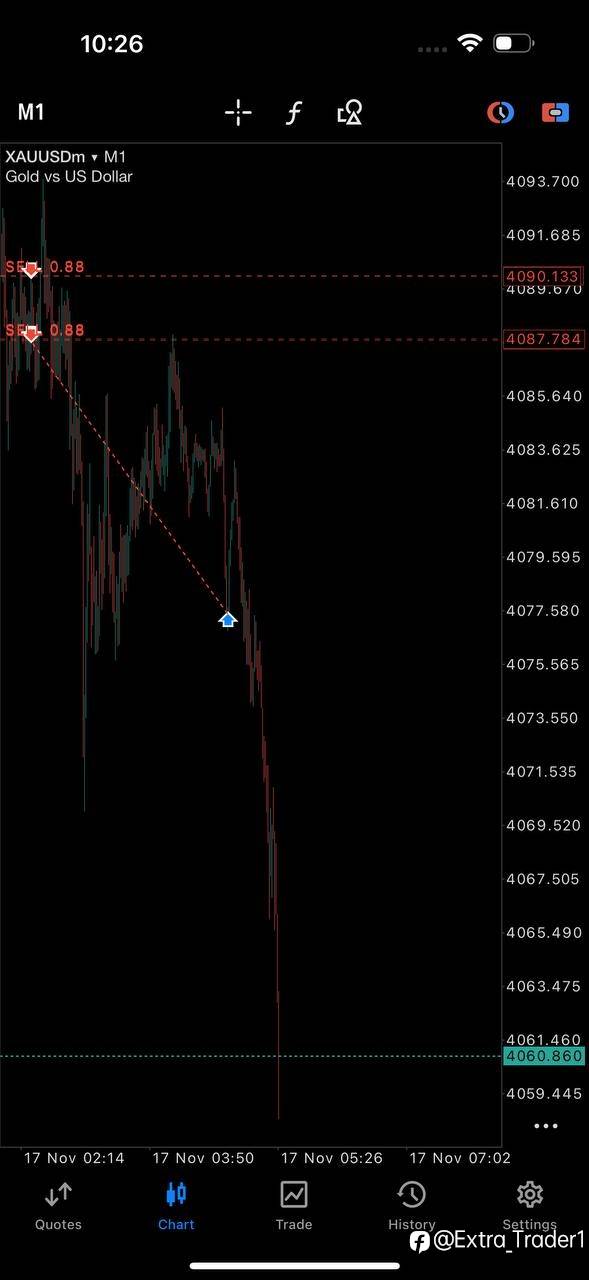 feed-image-1