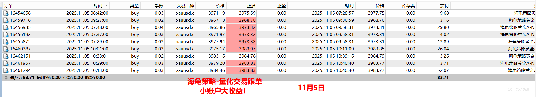 看看我的海龟。