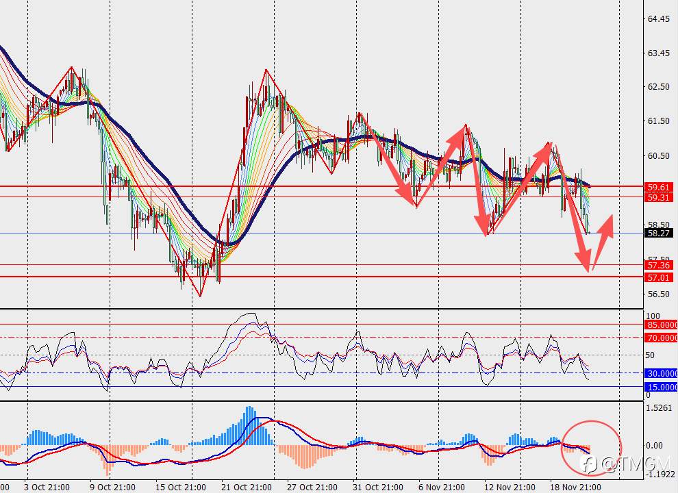 TMGM每日市场11月21日