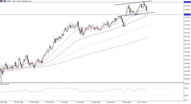2025年11月05日市场报告