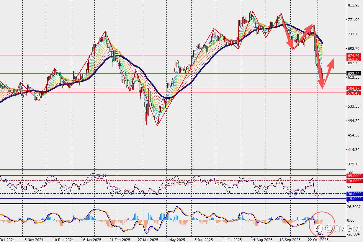 TMGM每日市场11月10日
