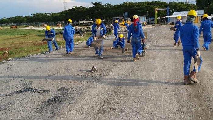 RI Tetap Gandeng Rusia Garap Kilang Tuban, Begini Progresnya