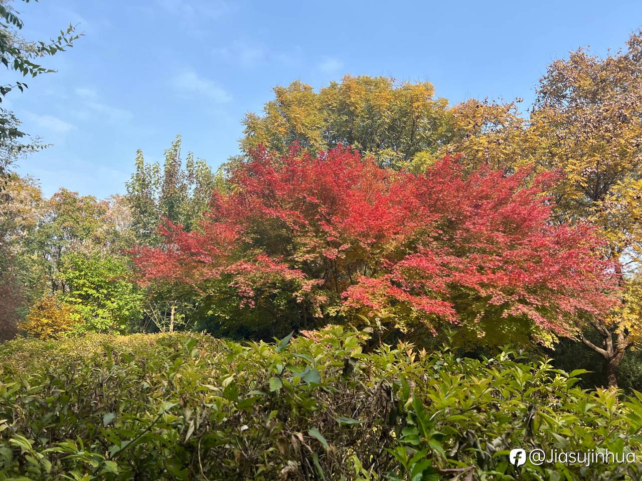 不懂得交易，再大的仓位也都是赔钱