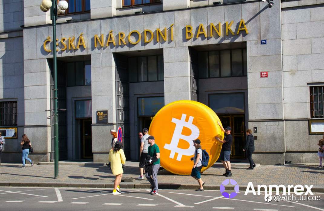 Market Changes After Central Bank Bitcoin Allocation and the Perspective of Anmrex Exchange