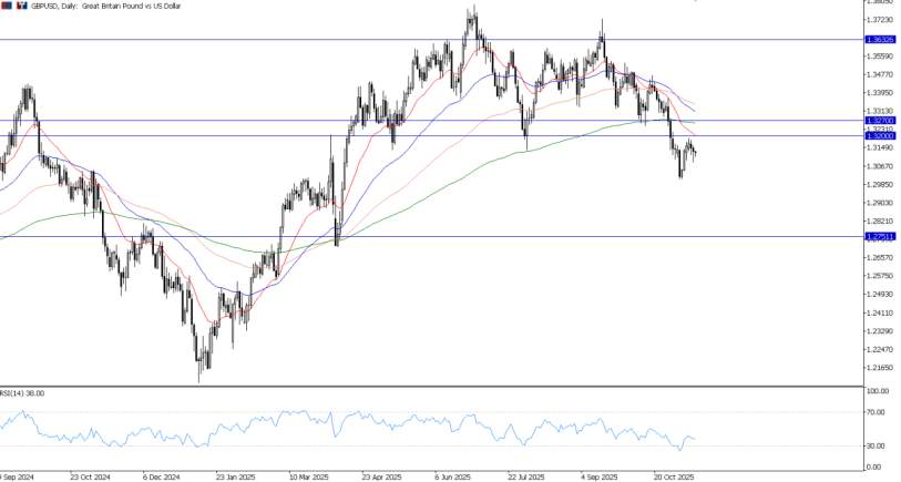 2025年11月13日市场报告