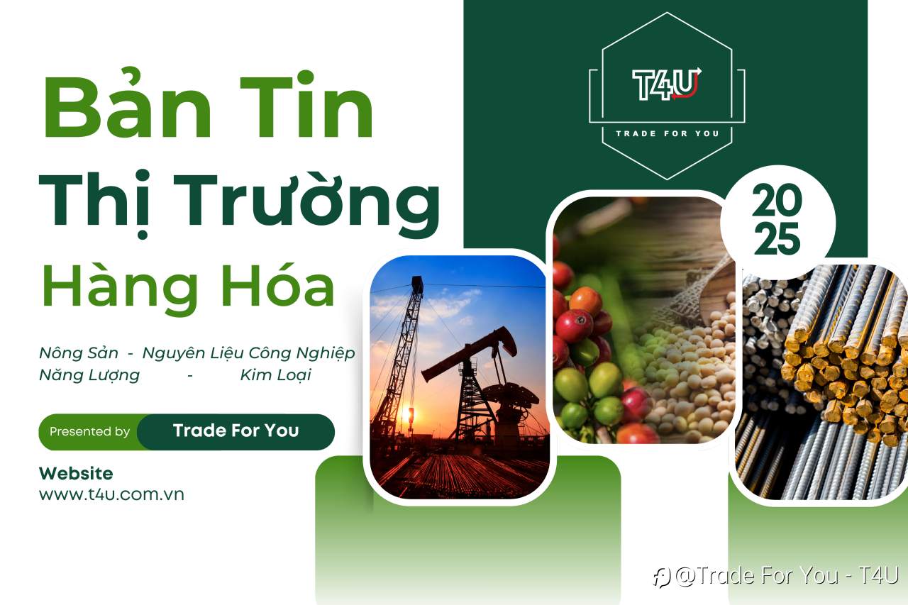 Bản tin thị trường Hàng Hóa 26/11/2025