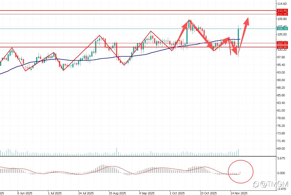 TMGM每日市场11月21日