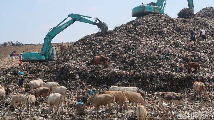 Jepang, China & Eropa Tawarkan Teknologi buat Proyek Sulap Sampah Jadi Listrik