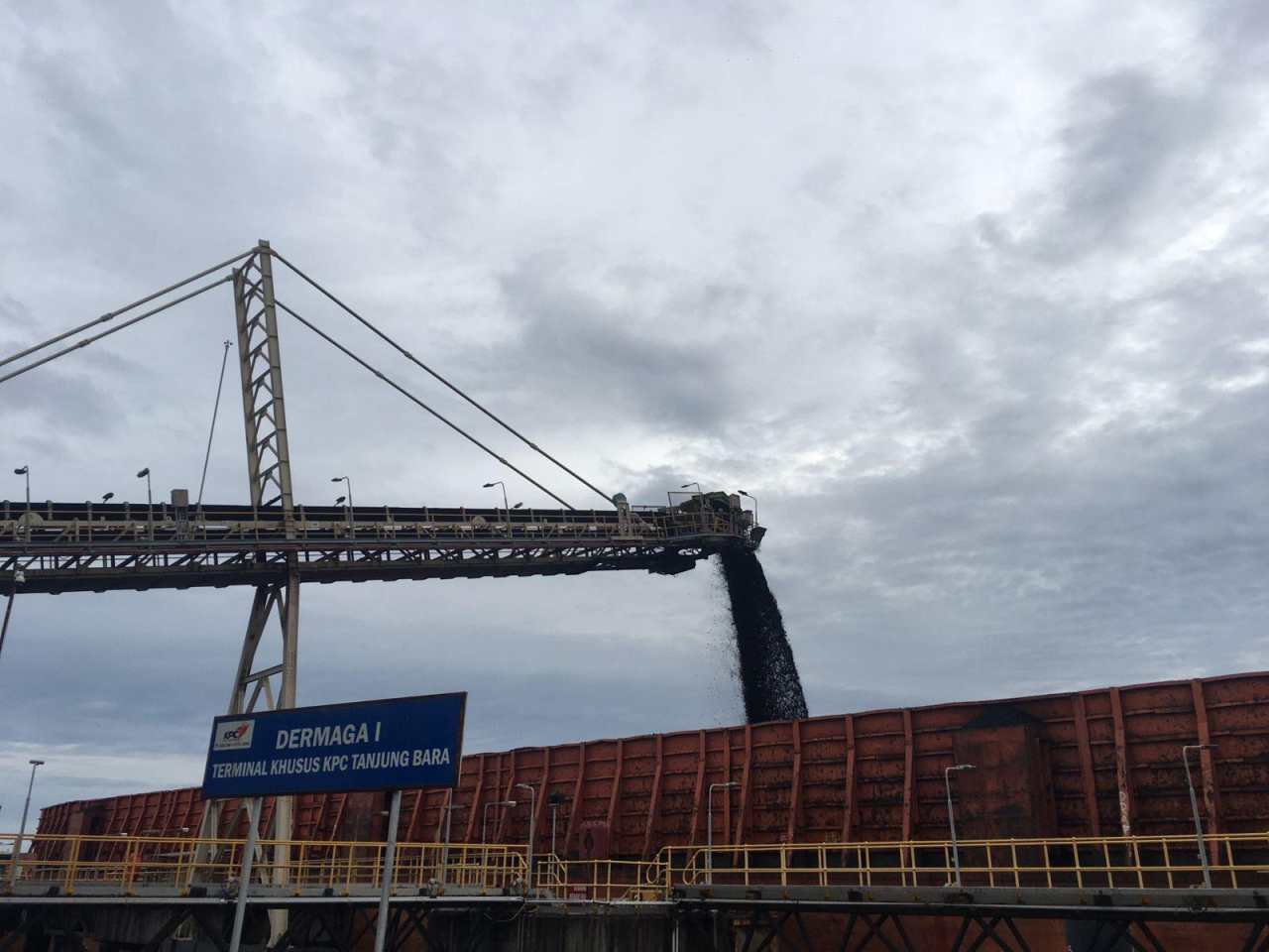 Saham BUMI Melesat Jelang RUPSLB, Aksi Akumulasi Investor Ini Jadi Sorotan