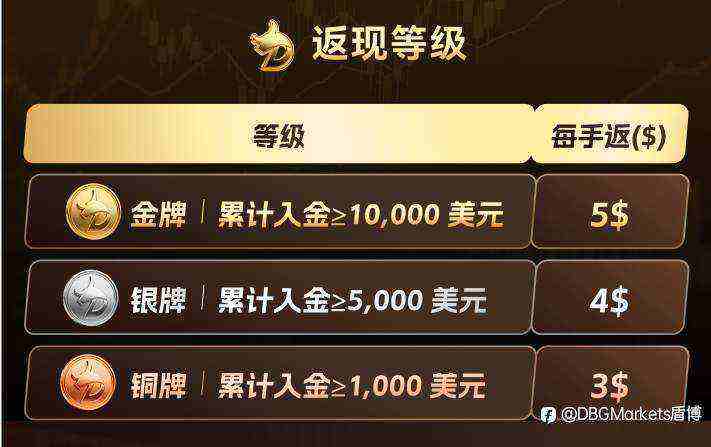 《年底狂欢季|DBG黄金返现盛典来袭!》