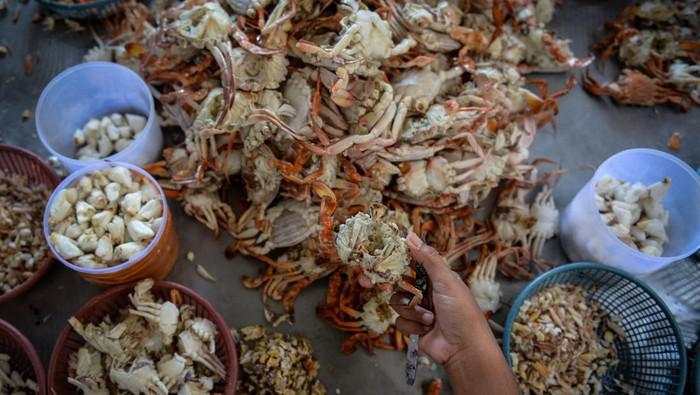 KKP Terbitkan Panduan buat Ekspor Rajungan ke AS