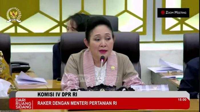 Komisi IV Sebut RI Menuju Swasembada Pangan, Produksi Beras Melonjak