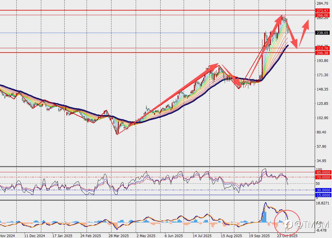 TMGM每日市场11月5日