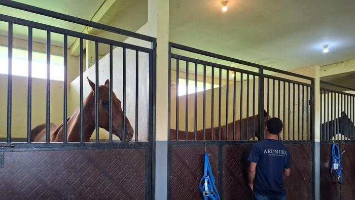 Biaya Karantina di RI Disebut Mahal, Begini Penjelasan Barantin