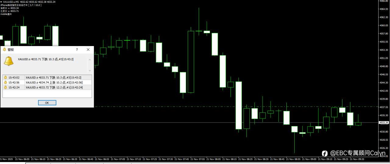 “净值监控 EA” 指标（智能交易系统）