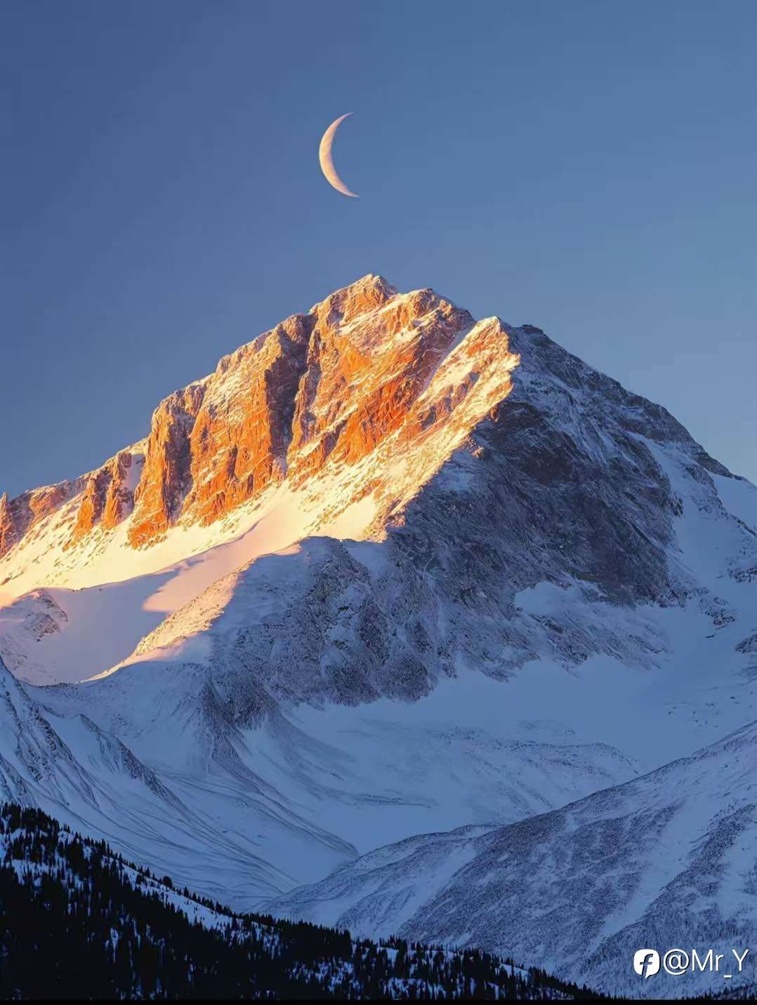 《外汇为什么常被误解为“赌”？》