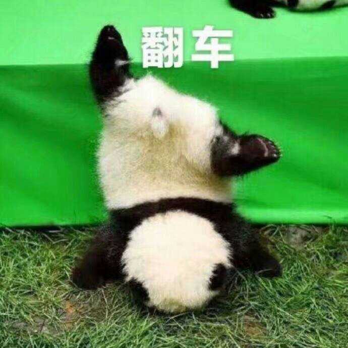 我坚持自己做交易