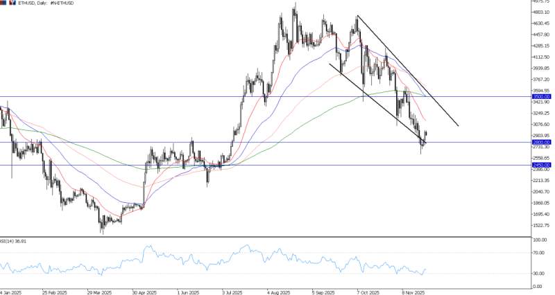 2025年11月25日市场报告