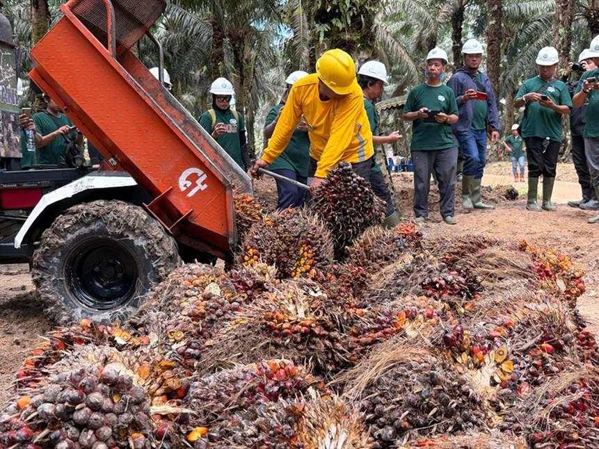 Astra Agro (AALI) Dorong Produktivitas dan Keberlanjutan Sawit Lewat Transformasi Digital