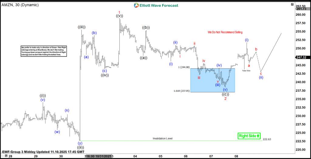 AMZN Extends Bullish Cycle From Blue Box– More Upside Ahead